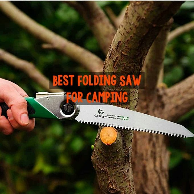 Best Folding Saws For Camping & Backpacking